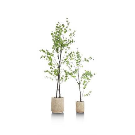 XOOON Tropaeolum kunstplant H210cm