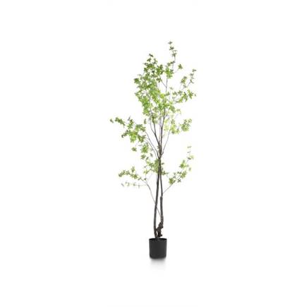 XOOON Tropaeolum kunstplant H210cm