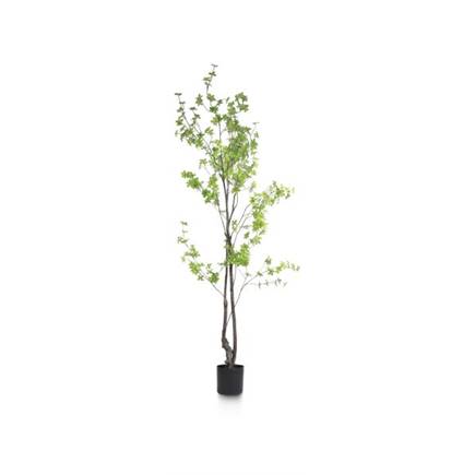XOOON Tropaeolum kunstplant H210cm
