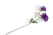XOOON COCOMAISON  Anemone Spray H75cm kunstbloem