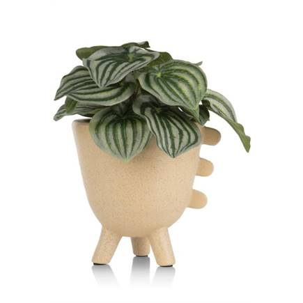 XOOON Peperomia Bush H25cm kunstbloem