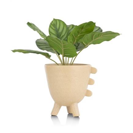XOOON Calathea Orbifolia H45cm kunstplant