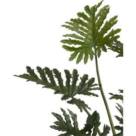 XOOON Philodendron Selloum kunstplant H125cm