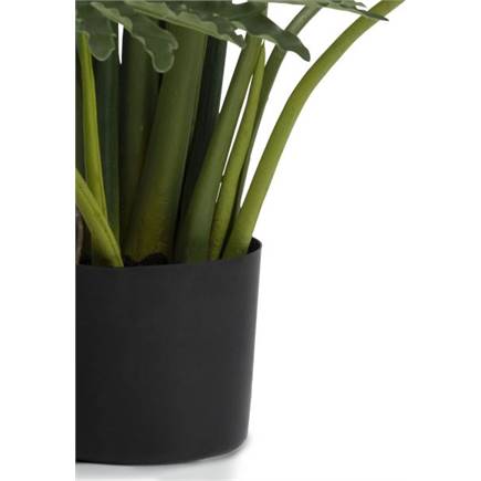XOOON Philodendron Selloum kunstplant H125cm