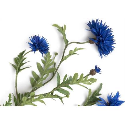 XOOON Centaurea Spray kunstbloem H100cm