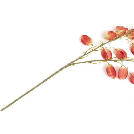 XOOON Physalis Spray kunstbloem H95cm Oranje