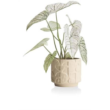 XOOON Alex pot D21cm