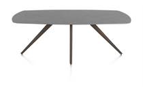 XOOON SALUTI ronde tafel eetkamertafel ovaal 210 x 105 cm. - 4-pootjes - steelbrown Antraciet