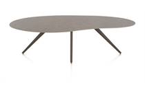 XOOON SALUTI eetkamertafel ORGANISCH 240 X 120 CM. - 4-POOTJES - STEELBROWN Lava